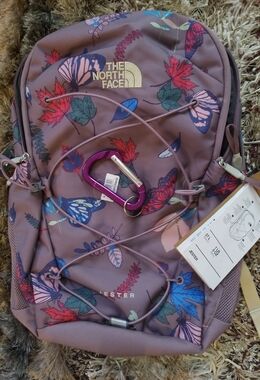 The North Face Jester Backpack in Fawn Grey Fall w/Purple 💜 Accents + Bonus